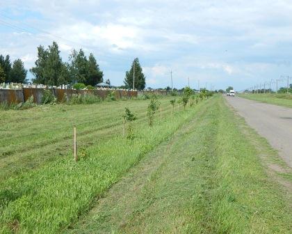 В Тбилисской продолжают наводить порядок