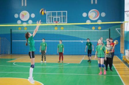 Турнир по волейболу