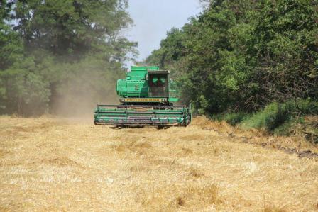 Уборка ячменя в Тбилисском районе идет полным ходом