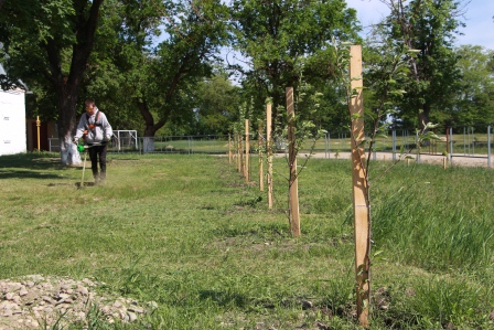 В поселке Первомайском завершается благоустройство нового сквера