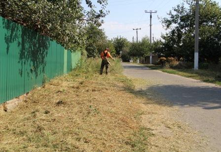 В Тбилисском поселении продолжают наводить порядок