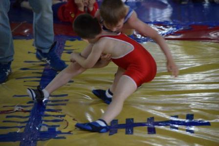 Открытое первенство по вольной борьбе прошло в Тбилисском районе