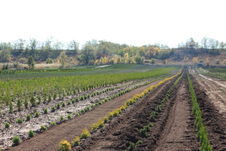 В Тбилисском районе реализован инвестпроект
