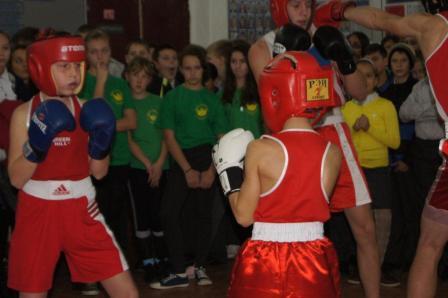 Фестиваль единоборств прошел в Тбилисском районе