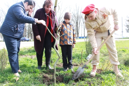 В станице Геймановской высадили «Сад памяти»
