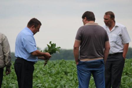Объезд сельхозугодий района