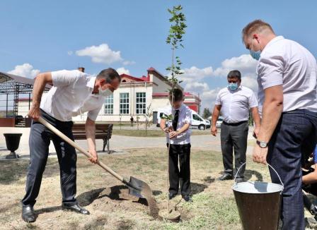 Губернатор посадил клен вместе с юным жителем Тбилисского района