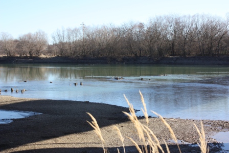 Сваи предыдущего моста
