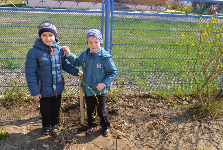 Первоклассник из Тбилисского района вырастил саженцы для акции «Лес Победы»