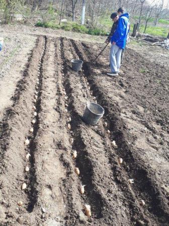 Тбилисские волонтеры помогают пожилым людям