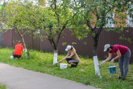 Все на субботник! 