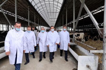 Губернатор посетил Тбилисский район