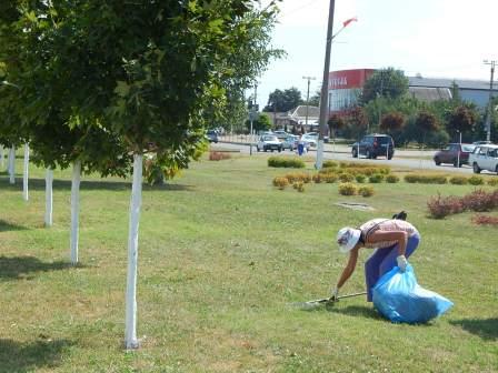 В Тбилисском поселении продолжают наводить порядок
