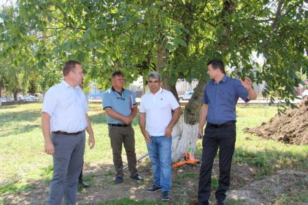 В Тбилисской началась реконструкция парка