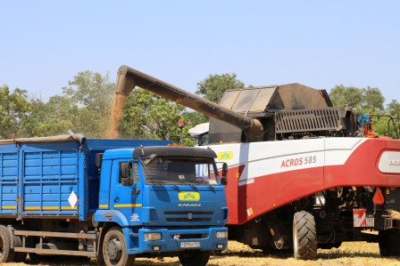 В Тбилисском районе артисты выступают на полях