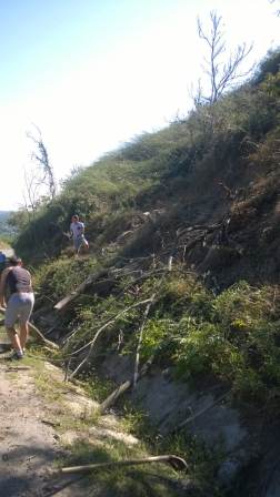 В Тбилисской прошел субботник