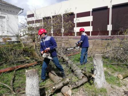 В Тбилисском районе начались командно-штабные учения