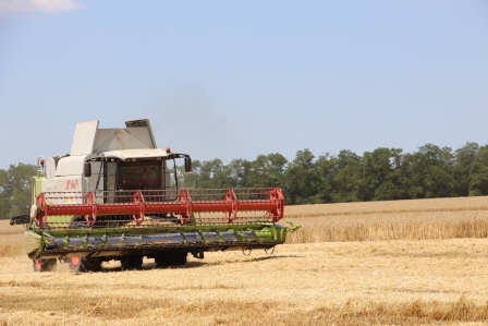 В Тбилисском районе артисты поддерживают хлеборобов на полях
