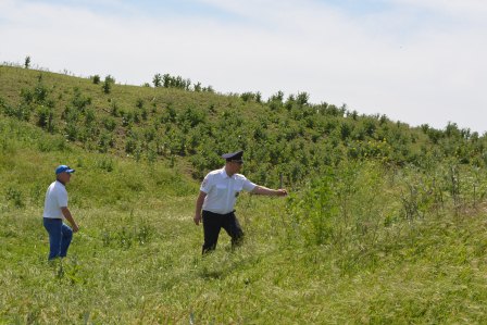 В Ванновском поселении осуществляет свою работу комиссия по мониторингу произрастания наркосодержащей растительности