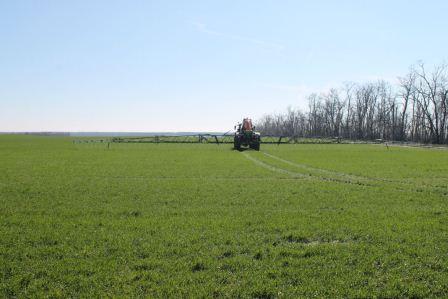 На полях района завершается подкормка озимых культур