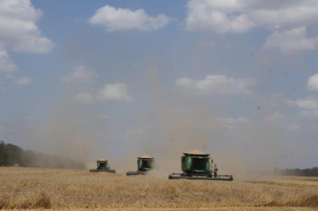 Уборочная кампания в самом разгаре