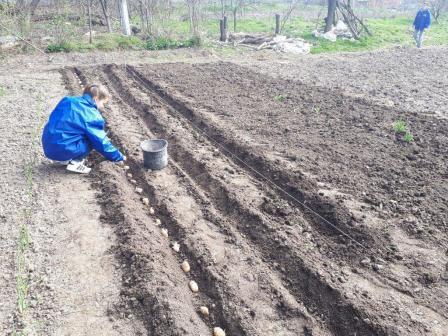 Тбилисские волонтеры помогают пожилым людям