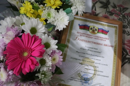 Коллектив «Управления ветеринарии Тбилисского района» поздравили с профессиональным праздником