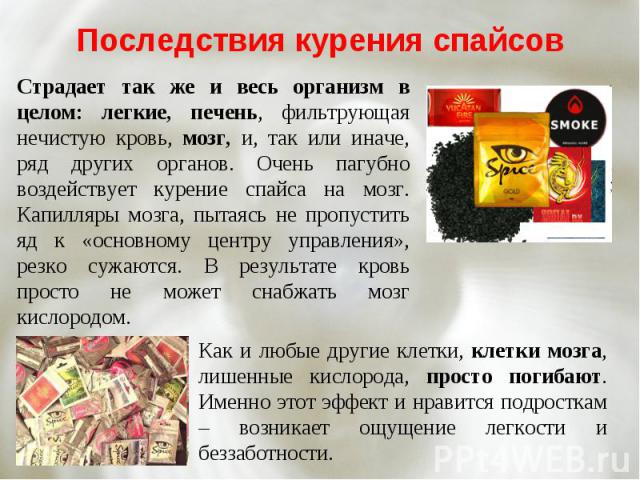 Спайс убивает!