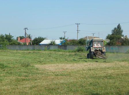 В Тбилисской на игровых площадках покосили траву
