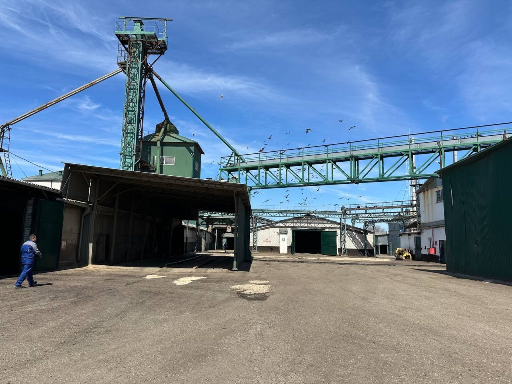 Предприятие из Кавказского района планирует увеличить производство муки и подсолнечного масла