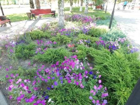 В Тбилисской продолжают бороться с сорной растительностью