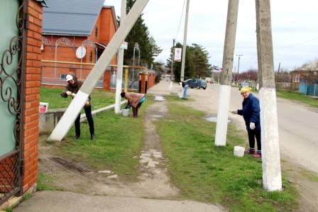 1000 тбилисцев приняли участие во Всекубанском субботнике