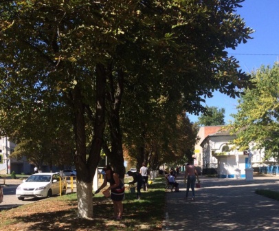 В Тбилисской прошел субботник