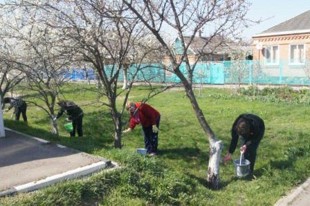 В Тбилисском районе прошел очередной массовый субботник