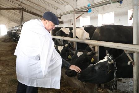 В Тбилисском районе активно развиваются крестьянско-фермерские хозяйства 