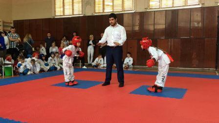 31 медаль по тхэквондо у Тбилисского района