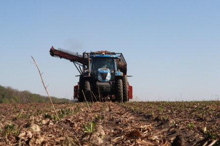 В хозяйствах Тбилисского района завершают уборку