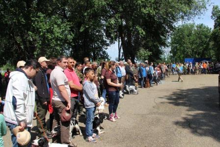 В Тбилисском районе прошла краевая выставка охотничьих собак