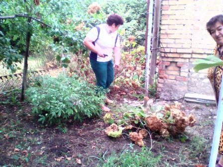 Ловлинские волонтеры помогли вдове ветерана