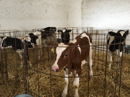 Краевые специалисты проверили ЗАО «Марьинское»