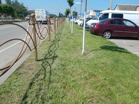 В Тбилисской по улице Красной высадили цветы