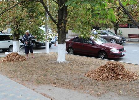 В Тбилисском поселении каждый день наводят порядок