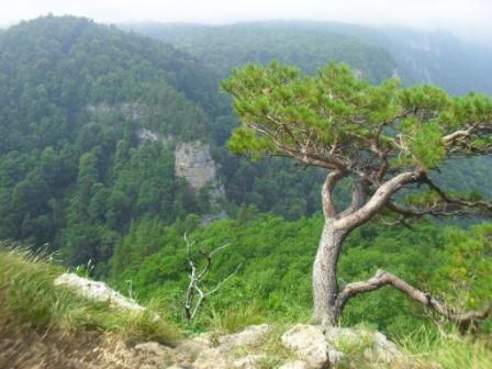 B поселке Гуамка Апшеронского района