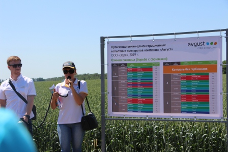 В Тбилисском районе прошел День поля