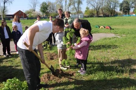 В седьмой школе прошла акция «Сад Памяти»