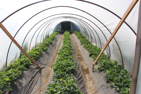 Евгений Ильин посетил представителей малых форм хозяйствования