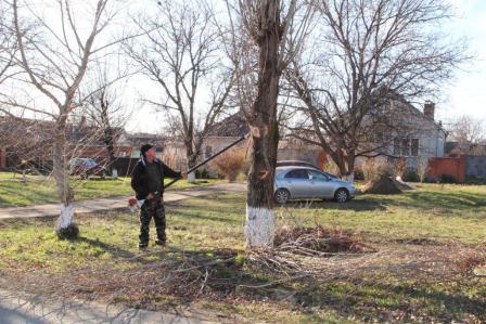 Работы по кронированию деревьев