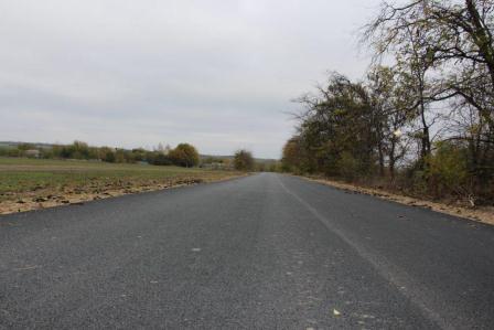 Нововладимировское поселение