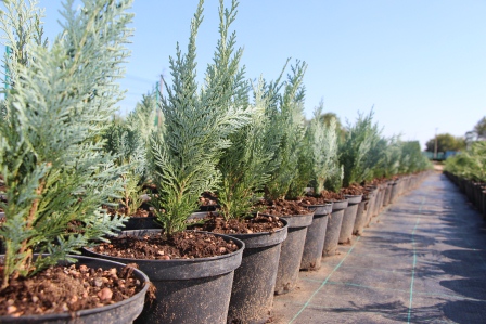 В Тбилисском районе реализован инвестпроект