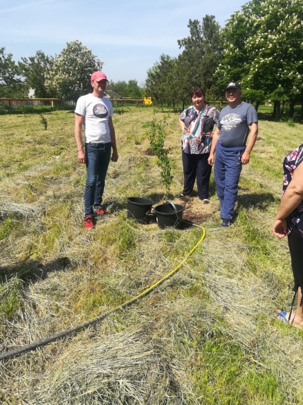 Международная акция Сад Победы Международная акция Сад Победы